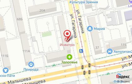 Зоомагазин Petshop.ru на площади 1905 года на карте