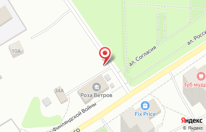 Базилик на проспекте Александра Невского на карте