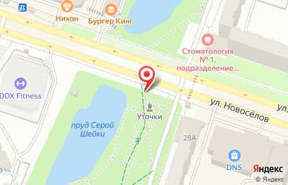 Киоск молочной продукции Амка на улице Новосёлов, 28а киоск на карте
