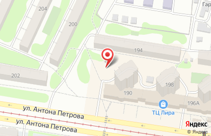 Багетная мастерская Арт-Холидей на улице Антона Петрова на карте