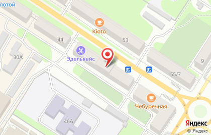 Магазин цветов Визит, магазин цветов на проспекте Ленина на карте