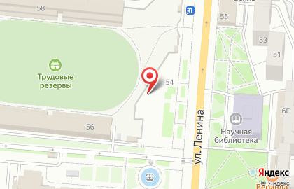 Старый клен на карте