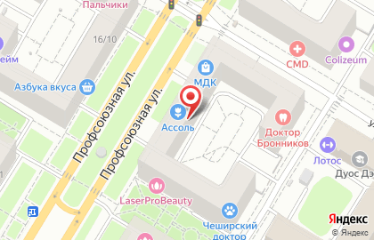 Екатерина на Профсоюзной улице на карте