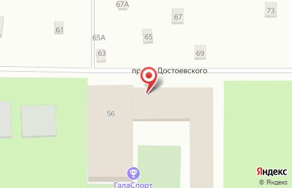 Пансионат для пожилых людей Опека в Санкт-Петербурге на карте
