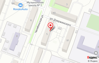 Зоомагазин Лапки-царапки на Челябинской улице на карте
