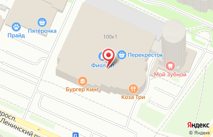 Гастропаб Коза Дереза на Ленинскмо проспекте на карте