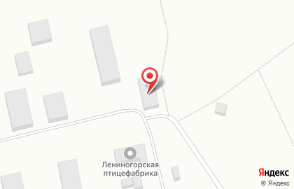 Лениногорская птицефабрика на карте