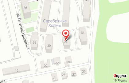 Компания Nika_Flowers на карте
