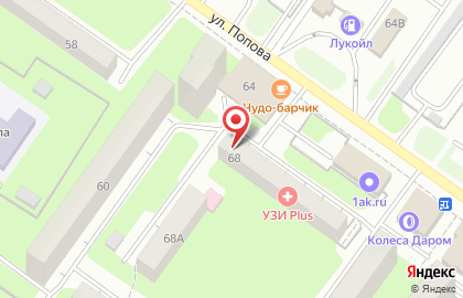 Ветеринарная клиника доктора Амирова на улице Попова на карте