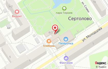 Три пескаря на улице Молодцова на карте