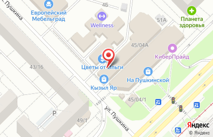 Магазин посуды и хозяйственных товаров в Набережных Челнах на карте