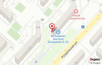Образовательный центр Виндзор на Раздольной улице на карте