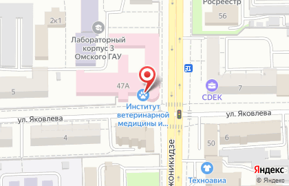 ОмГАУ им. П.А. Столыпина Университетская ветеринарная клиника на карте