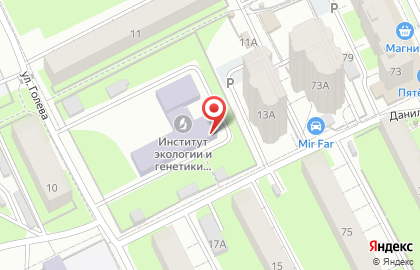 СайтТайм на карте