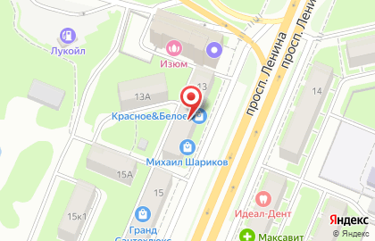 Прокатная компания Прокат НН на проспекте Ленина на карте