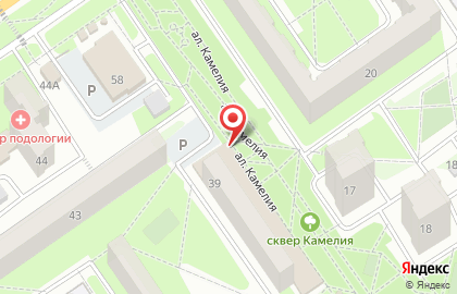 Аптека Парма в микрорайоне Жукова на карте