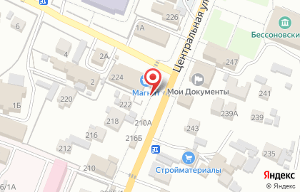 Мясная лавка на Центральной улице на карте
