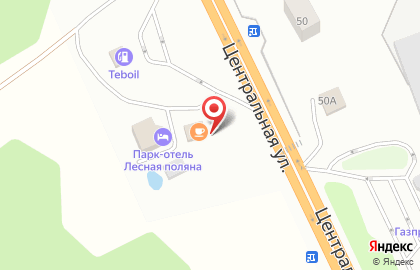 Кафе Лесная Поляна на Центральной улице на карте