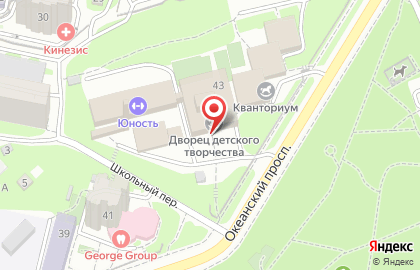 Владивостокский городской дворец детского творчества на карте