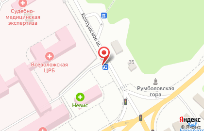 Продуктовый магазин на Колтушском шоссе, 20 лит А на карте