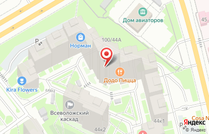 Аптека Столички на Колтушском шоссе на карте