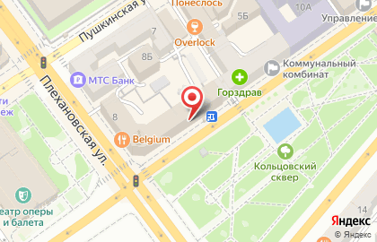 Ателье в Воронеже на карте