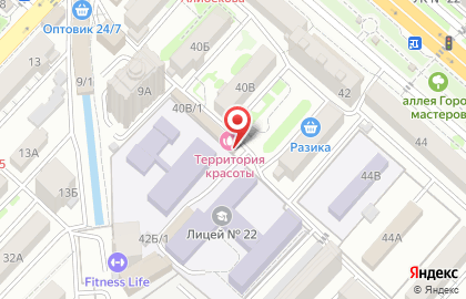 Гастроном Удача на проспекте Имама Шамиля на карте