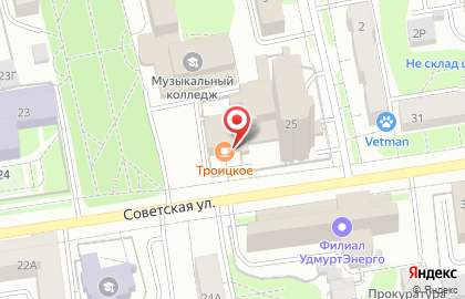 Кафе-столовая Троицкое на Советской улице на карте