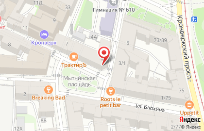 Центр социальной помощи семье и детям Петроградского района г. Санкт-Петербурга в Петроградском районе на карте