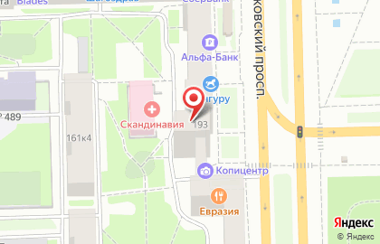 Матрешка Тур на Московском проспекте на карте