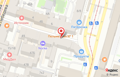4 лапы на площади Ленина на карте