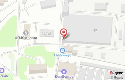 Завод по производству напитков Гамбринус на карте