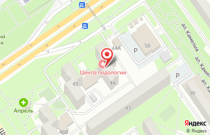 Центр современного педикюра Оксаны Нестеренко на карте