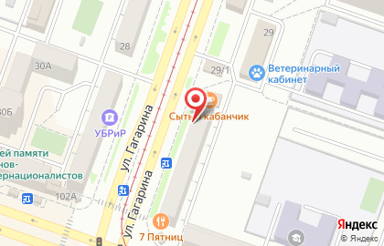 Зоомагазин ЗооЛайф на Гагарина, 31 на карте