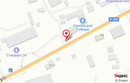 ООО Каменный век на Трактовой улице на карте