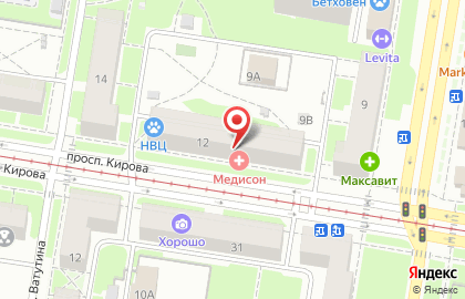 Медицинский центр Медисон в Автозаводском районе на карте