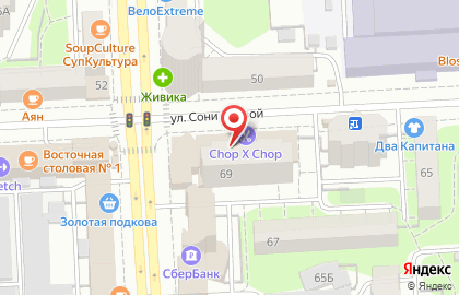 Мясной магазин в Челябинске на карте