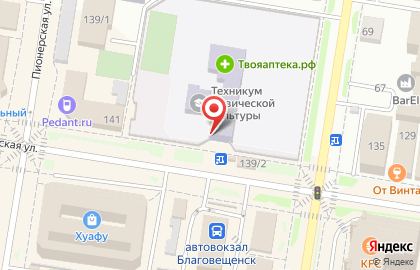 Амурский педагогический колледж на Красноармейской улице на карте