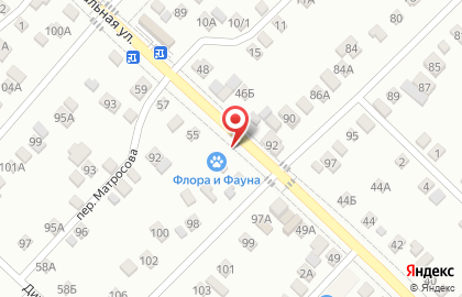 Магазин Флора и Фауна на Коммунальной улице на карте