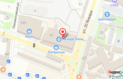 Студия создания сайтов «АЛЬТТОП» на карте
