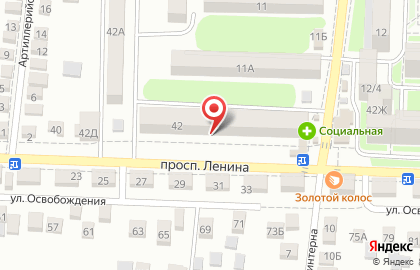 Магазин ЗооСити на проспекте Ленина, 42 на карте