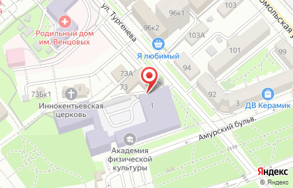 Следственное управление Следственного комитета РФ по Хабаровскому краю на улице Тургенева на карте