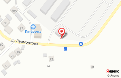 Фирма Челны Лес на улице Лермонтова на карте