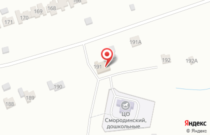 Магазин продуктов в селе Смородино, 191 на карте