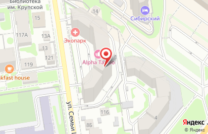 Интернет-магазин автозапчастей Автодок на улице Семьи Шамшиных на карте