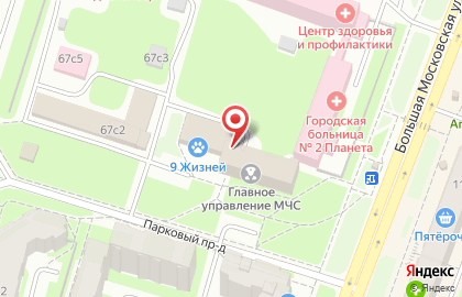 Ветеринарная клиника 9 жизней на Большой Московской улице на карте