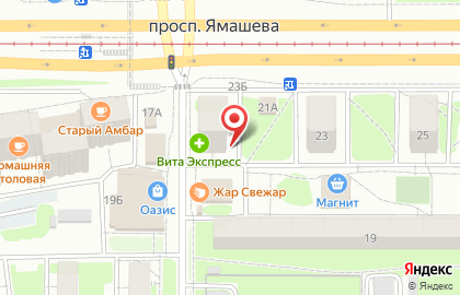 Ирис на проспекте Ямашева на карте