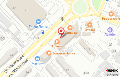 Ювелирная мастерская №1 на улице Яблочкова на карте