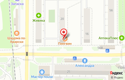 Кафе Пингвин на улице Лихачёва на карте