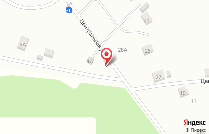 Продовольственный магазин Мир на Центральной улице на карте